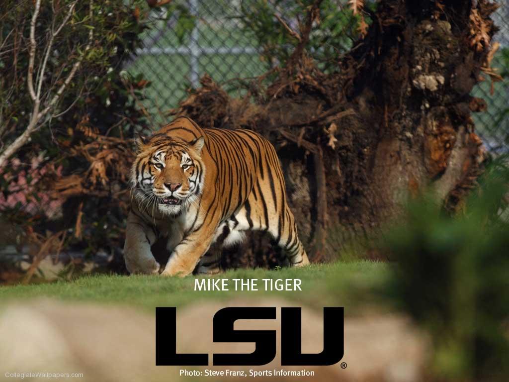 Mike-the-Tiger-1